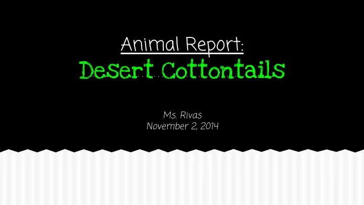 desert cottontails