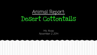 Desert Cottontails  Ms. Rivas  November 2, 2014 All About the Desert Cottontail  A type of rabbit