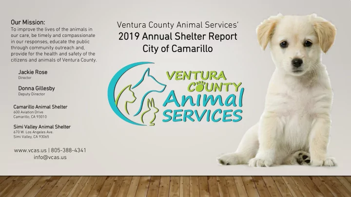 2019 annual shelter 201 r rep eport