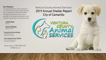 2019 Annual Shelter  201  r Rep  eport  our care, be timely and compassionate  in our responses,