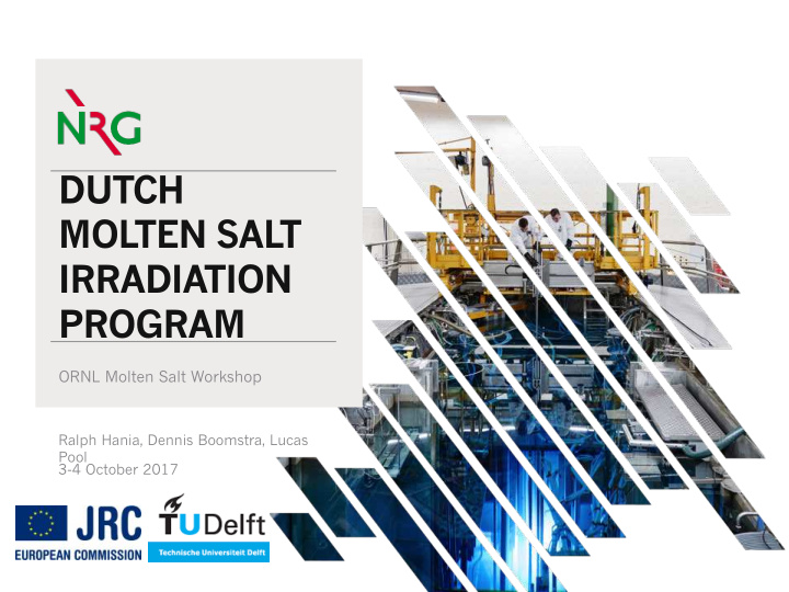 dutch molten salt irradiation program