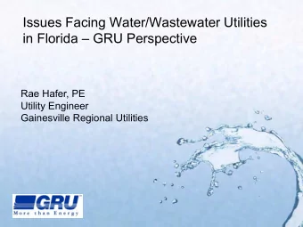 Issues Facing Water/Wastewater Utilities  in Florida  GRU Perspective  Rae Hafer, PE  Utility