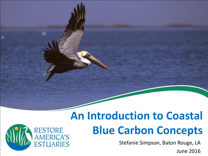 an introduction to coastal blue carbon concepts