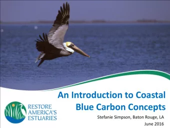 An Introduction to Coastal  Blue Carbon Concepts  Stefanie Simpson, Baton Rouge, LA  June 2016  Who