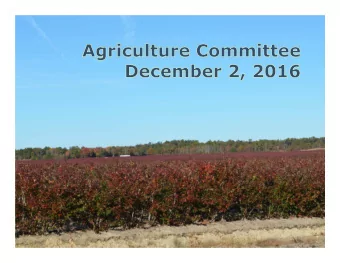 PDCs  Rights  PDCs Allocated to Date  2,861.00  11,444  PDCs Severed to Date  1,505.75  6,023  PDCs