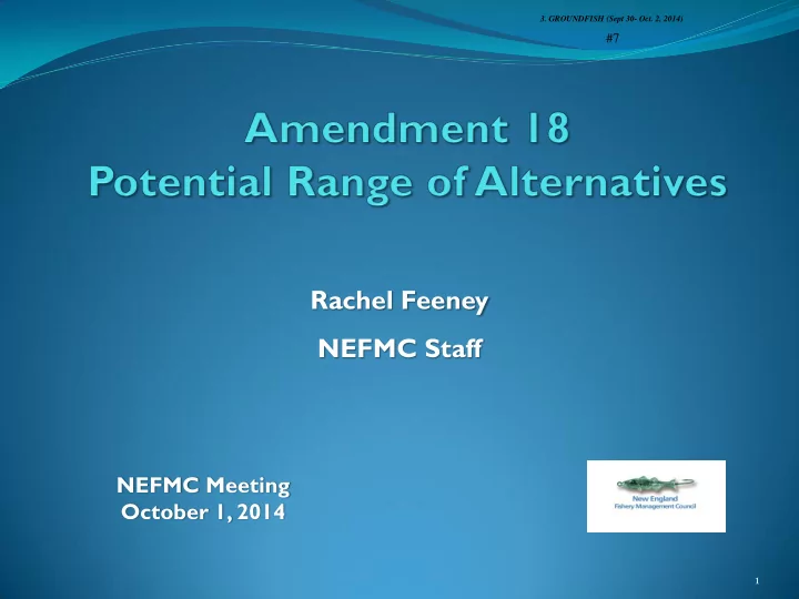 rachel feeney nefmc staff