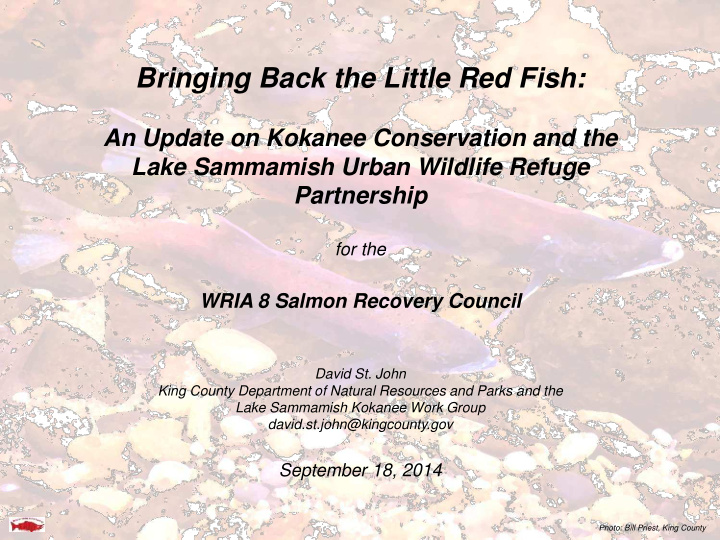 an update on kokanee conservation and the lake sammamish