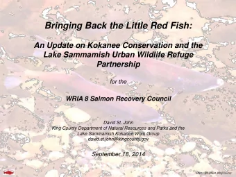 An Update on Kokanee Conservation and the  Lake Sammamish Urban Wildlife Refuge  Partnership  for