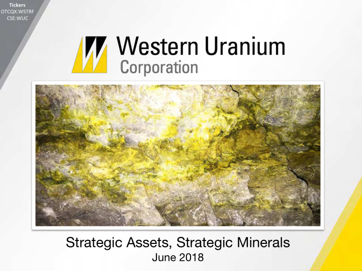 strategic assets strategic minerals