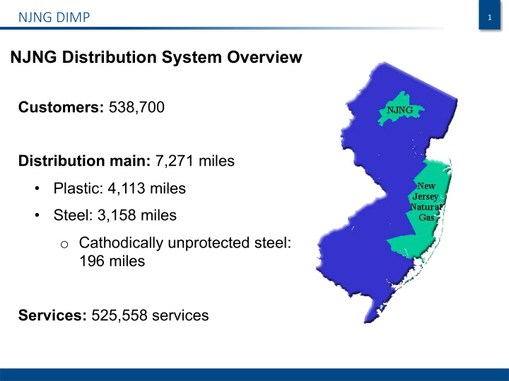 njng distribution system overview
