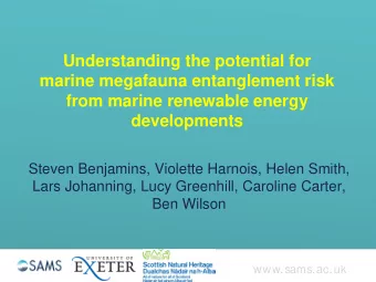 Understanding the potential for  marine megafauna entanglement risk  from marine renewable energy