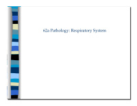 62a pathology respiratory system 62a pathology