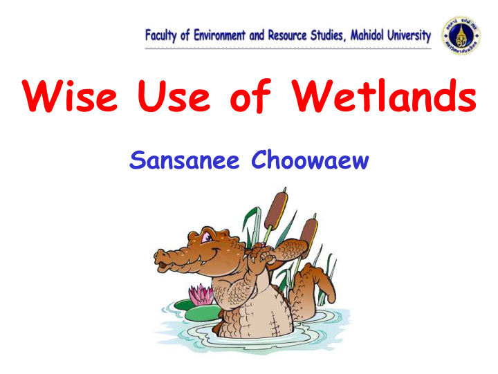 wise use of wetlands