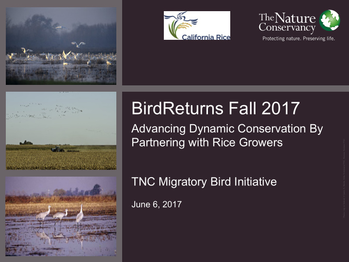 birdreturns fall 2017