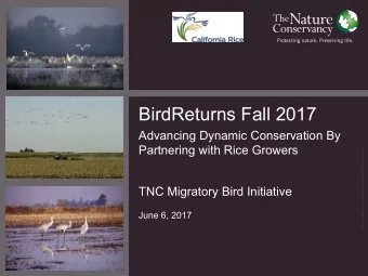 BirdReturns Fall 2017  Advancing Dynamic Conservation By  Partnering with Rice Growers  TNC