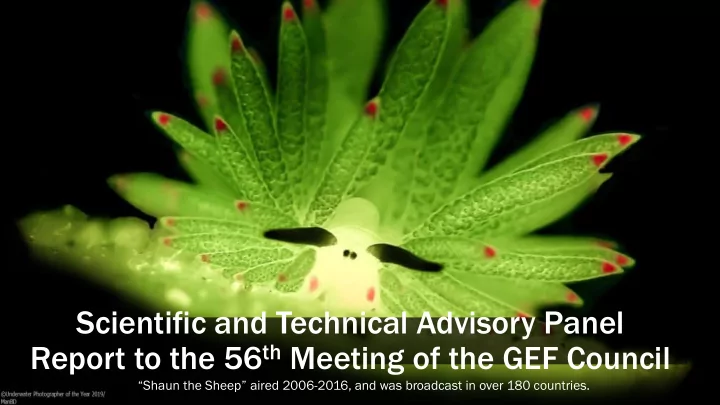 scientific and technical advisory panel