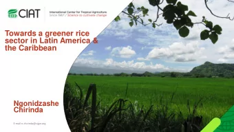 Towards a greener rice  sector in Latin America &amp;  the Caribbean  Ngonidzashe  Chirinda  E-mail