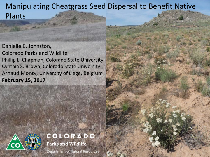 manipulating cheatgrass seed dispersal to benefit native