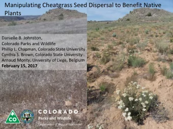 Manipulating Cheatgrass Seed Dispersal to Benefit Native  Plants  Danielle B. Johnston,  Colorado