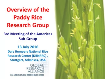 Overview of the  Paddy Rice  Research Group  3rd Meeting of the Americas  Sub-Group  13 July 2016