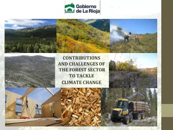 APORTACIONES Y RETOS DE LA GESTIN FORESTAL  ENIBLE  CONTRIBUTIONS  AND CHALLENGES OF  THE FOREST