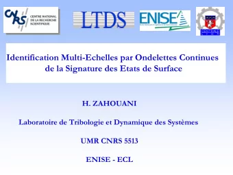 Identification Multi-Echelles par Ondelettes Continues  de la Signature des Etats de Surface  H.