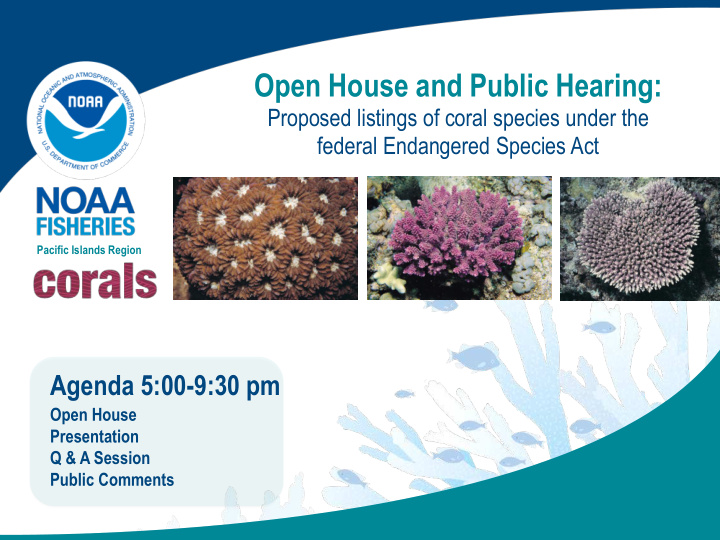 open house and public hearing