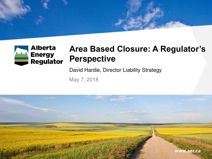 area based closure a regulator s perspective