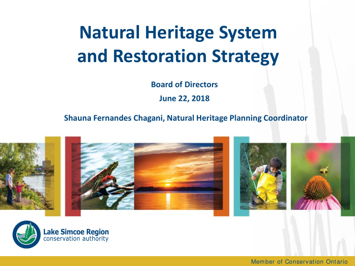 natural heritage system and restoration strategy