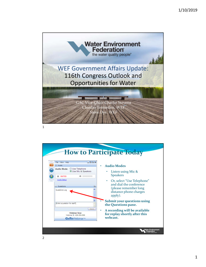 wef government affairs update 116th congress outlook and