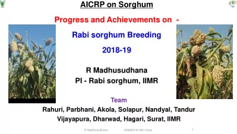 AICRP on Sorghum  Progress and Achievements on  -  Rabi sorghum Breeding  2018-19  R Madhusudhana