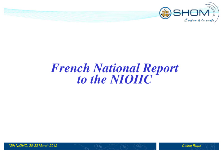 french national report