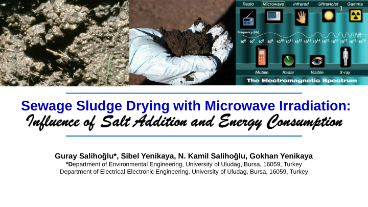 sewage sludge drying with microwave irradiation