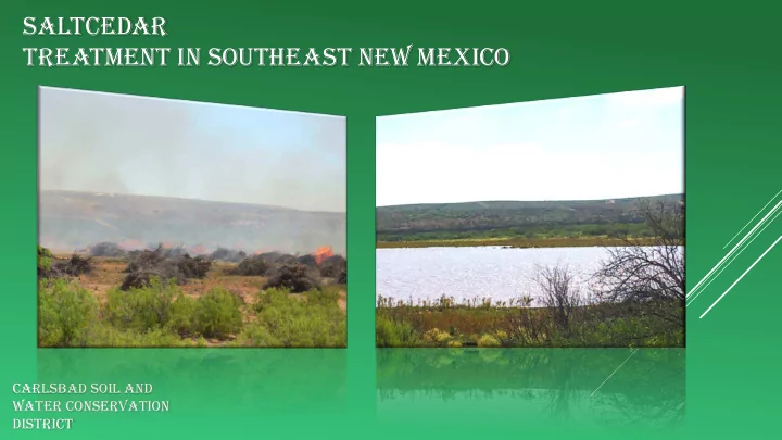saltcedar treatment in southeast new mexico