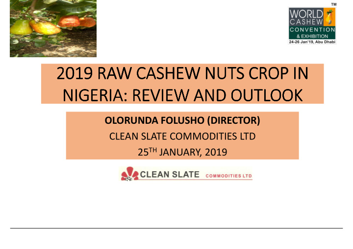 2019 raw cashew nuts crop in 2019 raw cashew nuts crop in