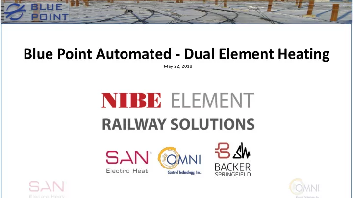 blue point automated dual element heating