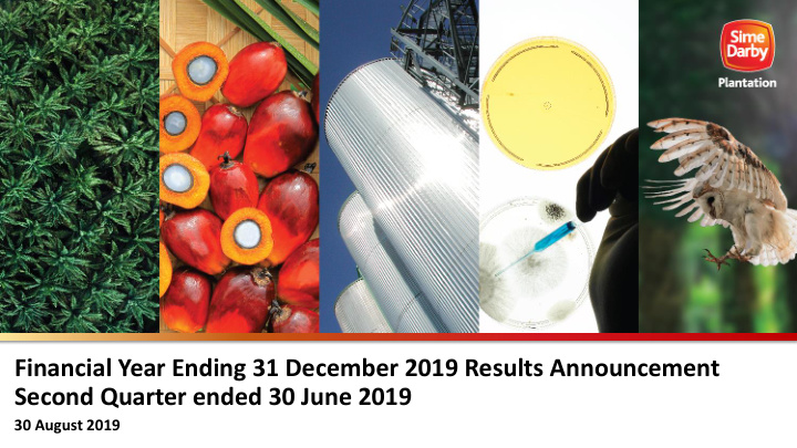 financial year ending 31 december 2019 results