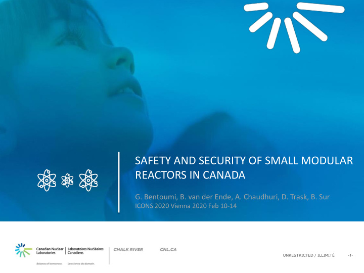 safety and security of small modular reactors in canada