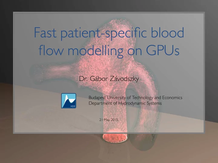 fast patient specific blood flow modelling on gpus
