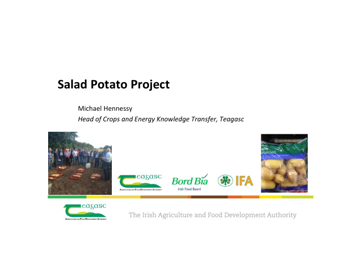 salad potato project