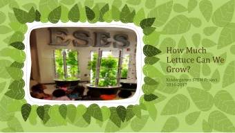 How Much  Lettuce Can We  Grow?  Kindergarten STEM Project  2016-2017  Where Does Lettuce Come