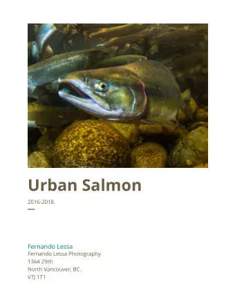 Urban Salmon  2016-2018.   Fernando Lessa  Fernando Lessa Photography  1364 29th  North