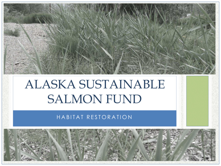 alaska sustainable salmon fund