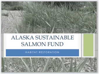 ALASKA SUSTAINABLE  SALMON FUND  H A B I T A T  R E S T O R A T I O N  ALASKA SUSTAINABLE SALMON