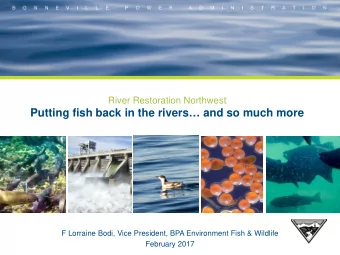Putting fish back in the rivers and so much more  F Lorraine Bodi, Vice President, BPA