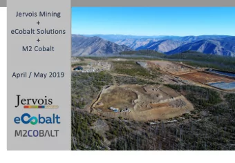 +  eCobalt Solutions  +  M2 Cobalt  April / May 2019  2019  PRIVATE &amp; CONFIDENTIAL  Dis
