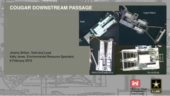 COUGAR DOWNSTREAM PASSAGE  Upper Baker  Swift  237  217  200  80  252  83  237  217  200  119  174