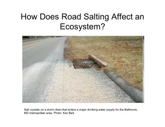 How Does Road Salting Affect an  Ecosystem?  Salt crystals on a storm drain that enters a major