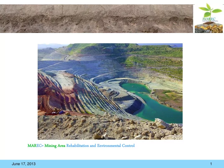 marec ec mining ng area a rehabi abili lita tati tion on