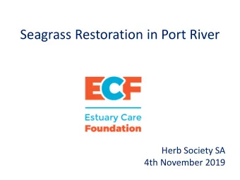 Seagrass Restoration in Port River  Herb Society SA  4th November 2019  Seagrass  Seagrasses are a